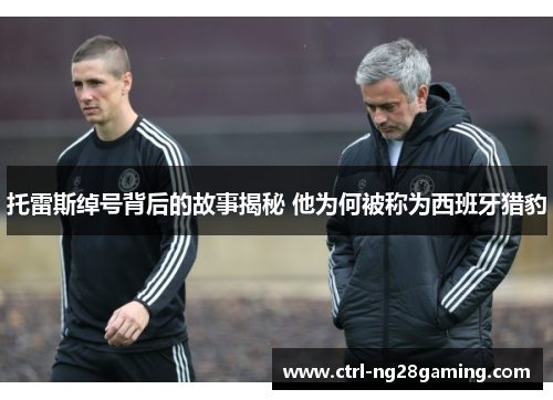 托雷斯绰号背后的故事揭秘 他为何被称为西班牙猎豹