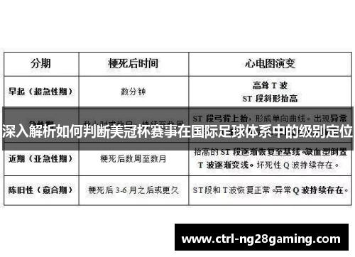 深入解析如何判断美冠杯赛事在国际足球体系中的级别定位