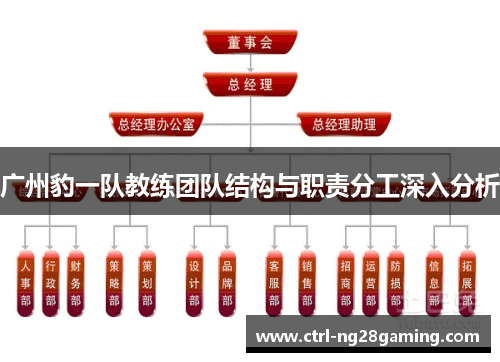 广州豹一队教练团队结构与职责分工深入分析